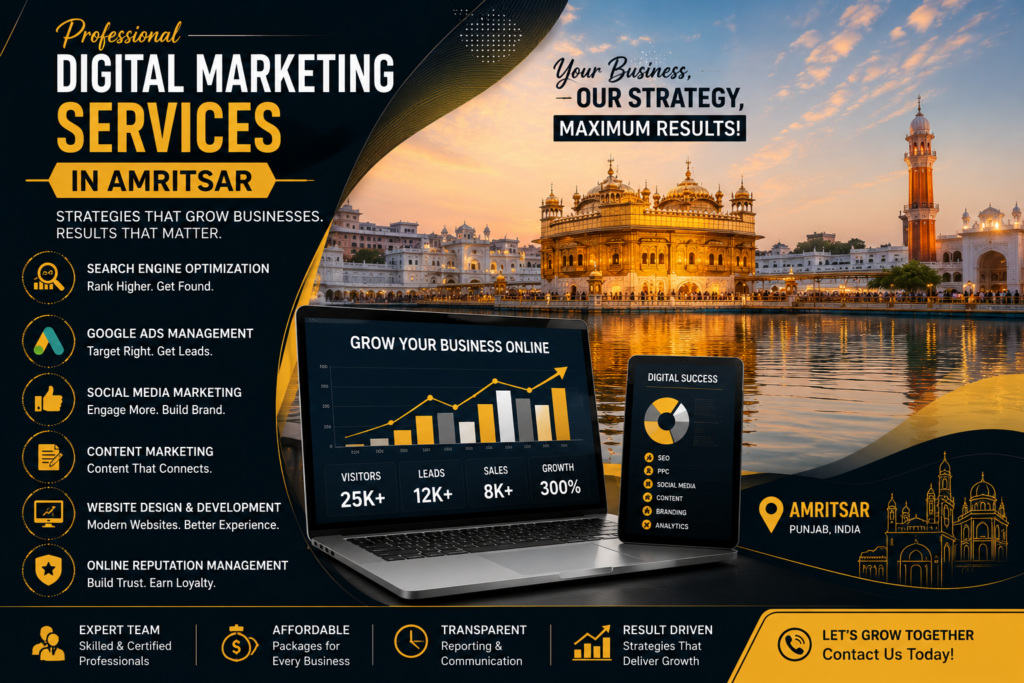 professional digital marketing company services amritsar